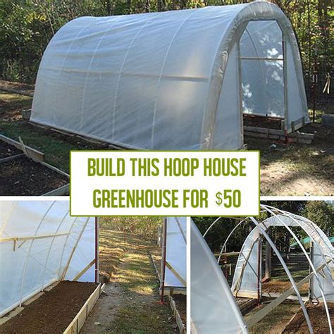 How to Build a Hoop House Greenhouse for $50 | Build a greenhouse, Greenhouse plans, Diy ...