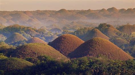 Chocolate Hills | Bohol philippines, Philippines, Beautiful places