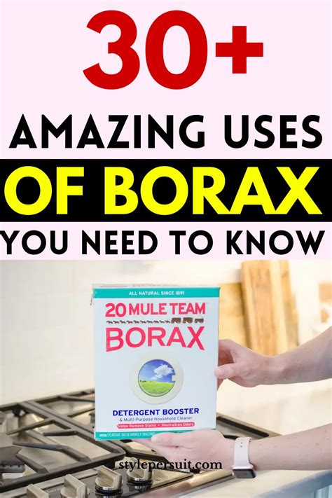 40+ Amazing Borax Uses for Cleaning, Health, and Gardening – StylePersuit