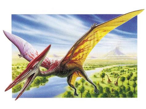 Names of All Flying Dinosaurs | Dinosaurs Pictures and Facts