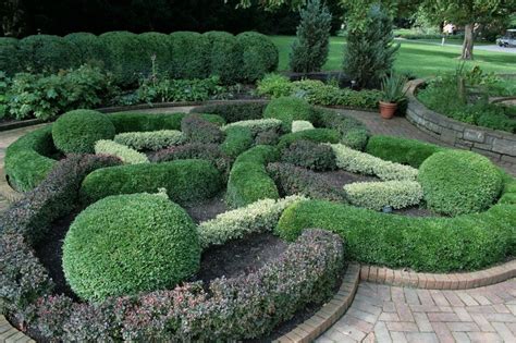 Landscaping Boxwood Shrubs — Randolph Indoor and Outdoor Design