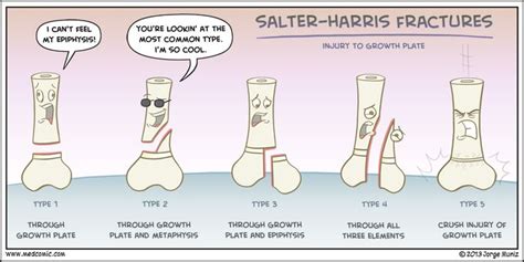 Salter-Harris Fracture (remember the mnemonic SALTR) - Emergency Medicine Kenya Foundation