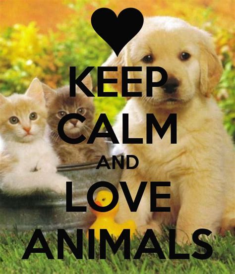 Keep calm & Love animals | Save animals slogans, Save animals, Keep calm and love