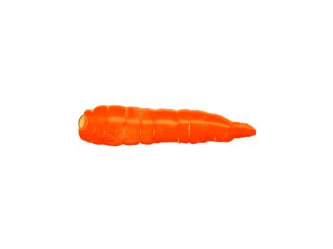 Eaten carrot by Marina on Dribbble