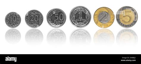 Six Polish currency coins (PLN or "złoty") isolated on white background with reflection Stock ...