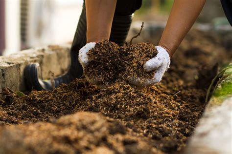 Best Loam-Based Compost Mixes | Harper's Nurseries