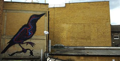 Transformative Street Art by Roa (10 pics)