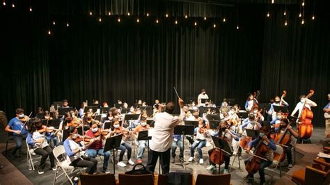 Dallas Symphony Orchestra on LinkedIn: A new $7.5 million fundraising initiative that will ...