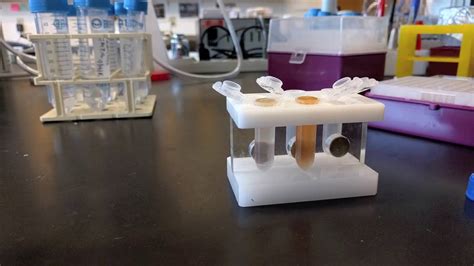 Cell lysate preparation for purification using magnetic beads - YouTube