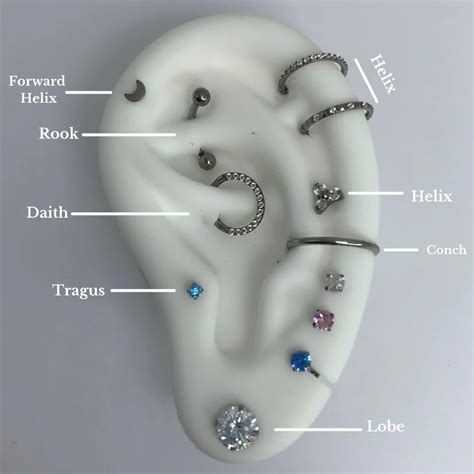 Ear Piercing Chart Earings Piercings Names, Ear Piercings Placement Chart, Ear Piercing Names ...