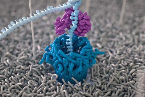 Nanopore sequencing: how does it work? - BioTechniques