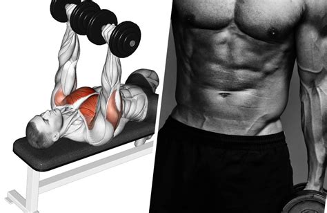 Build Chest Muscles With This Five Moves Dumbbell Chest Workout