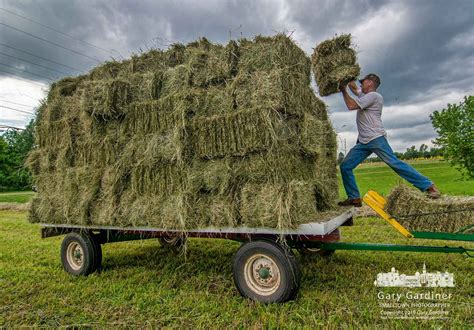 Hay Harvest Deadline | Harvest, Hays, Photo a day