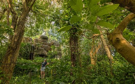 Biosphere 2 study shows tropical forest resilience