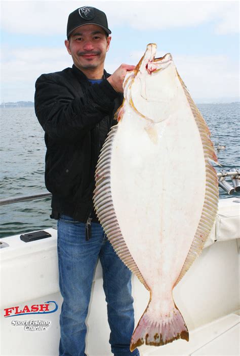 San Francisco Fishing Charters, Report 4/26/18 - Flash Sport Fishing Charters