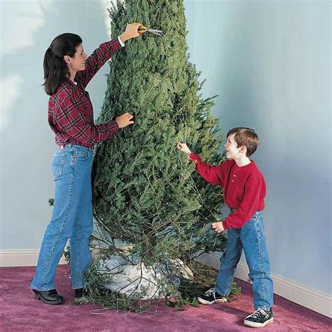 Tips and Tricks for Your Christmas Tree This Year | Taste of Home