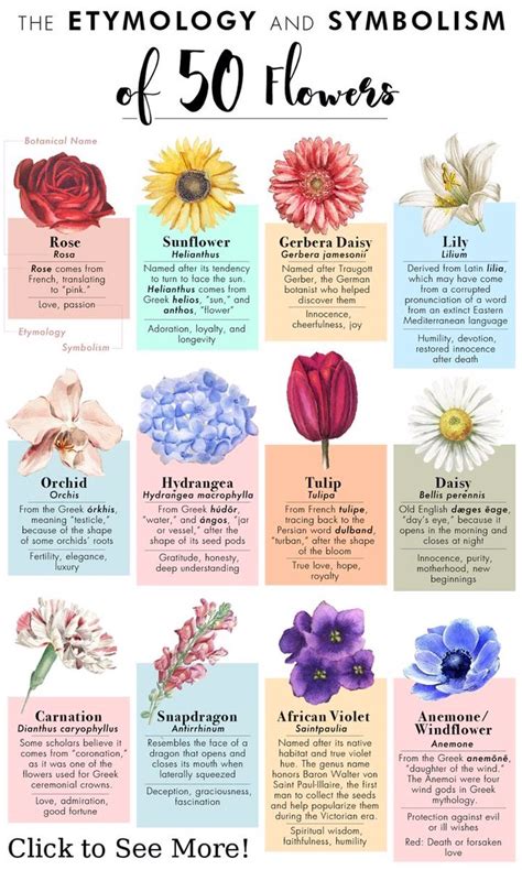 Rose Color Meanings, Flower Meanings Chart, Plant Meanings, Flower ...