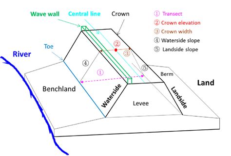 Natural Levee Diagram