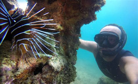 Moorea Private Snorkeling Tours - Moorea Ocean Adventures