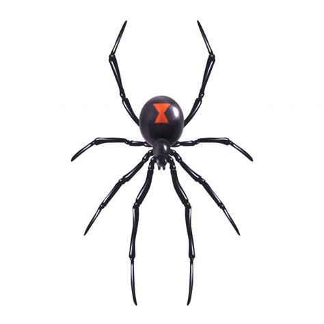 Scary Spider Drawing | Free download on ClipArtMag