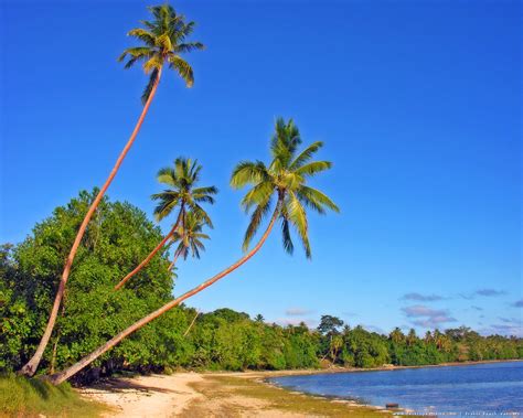 Vanuatu beaches | Style My Beach