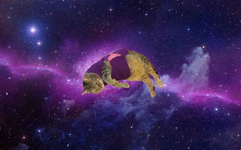 Space Cats HD Wallpaper (78+ images)