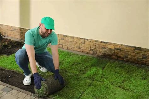 Tips on Caring for New Sod | Tampa Sod Farm