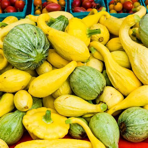 Here's Our Guide to Every Type of Summer Squash | Summer squash, Baked ...