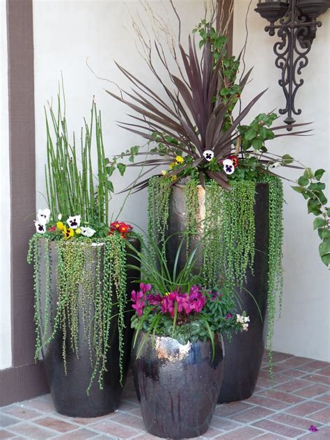 Tall Flower Pots | Foter