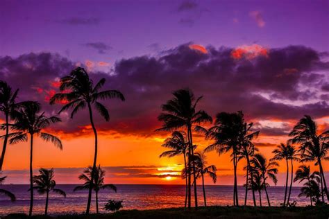 Hawaii Sunset Wallpapers - Top Free Hawaii Sunset Backgrounds ...