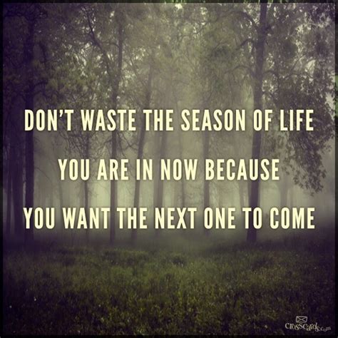 Seasons Of Life Quotes. QuotesGram