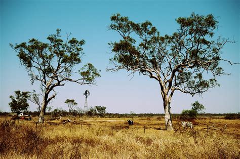 Australian Rural Landscape Photograph by Carolyn Hebbard - Fine Art America