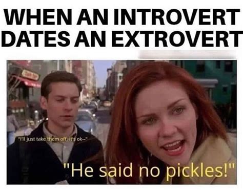 23 Funny Introvert Memes That Are Totally Relatable - Ned Hardy