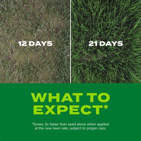 Buy Scotts Turf Builder Rapid Grass, Grass Seed Sun and Shade Mix for Full, Green Grass in Weeks ...