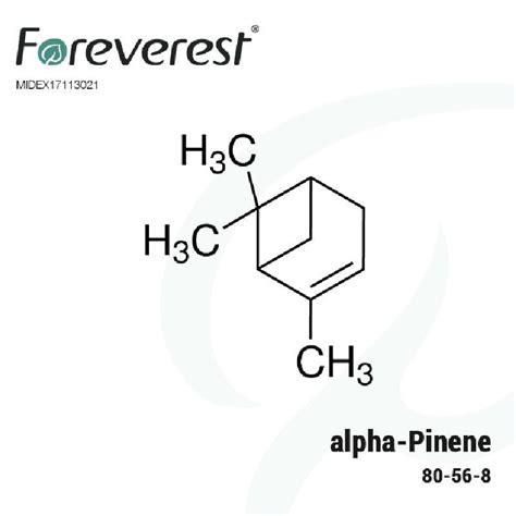 Buy alpha-Pinene 95% - Industrial Grade - 95% from Foreverest Resources ...