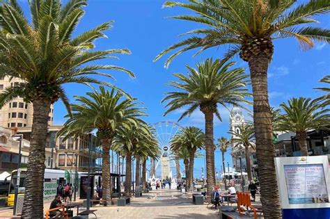 19 Fun Things to do in Glenelg