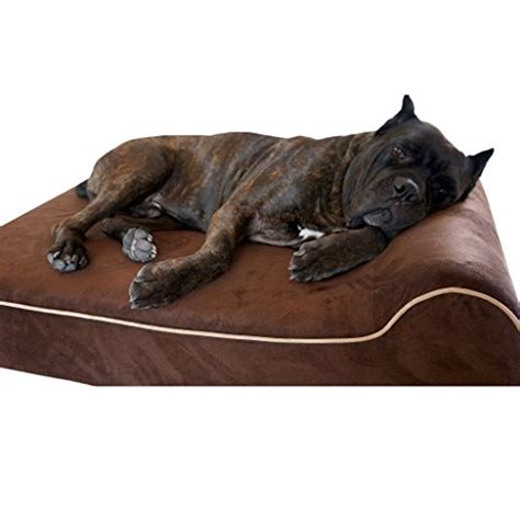 5 Best Chew Proof Dog Beds for Rough Chewers