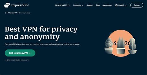 Best VPN for Privacy: Stay Anonymous Online in 2024