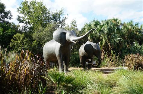 jacksonville-zoo-gardens-elephant-statues - Carrie on Travel