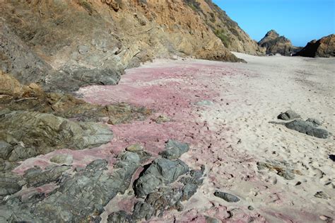 Black Sands Beach in Sausalito, CA - California Beaches