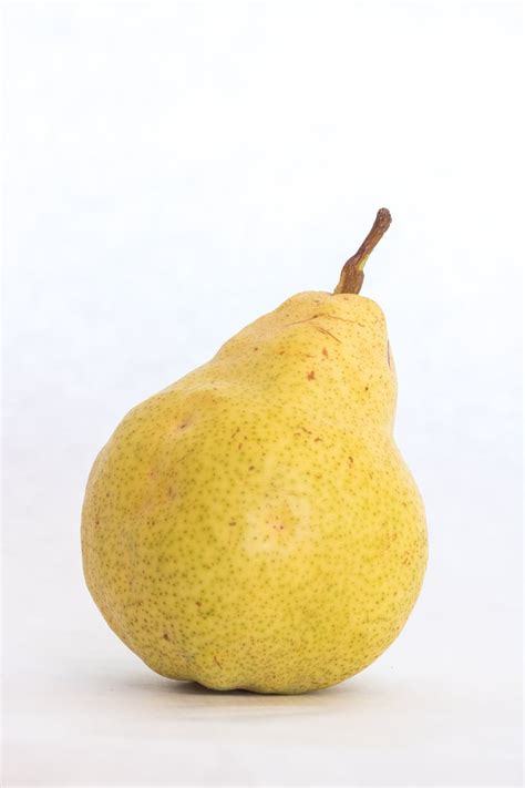 Care Of Bartlett Pear Trees: Tips For Growing Bartlett Pears