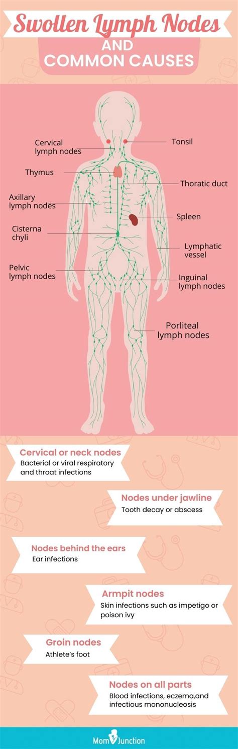 Swollen Lymph Nodes In Children: Causes And When To Worry