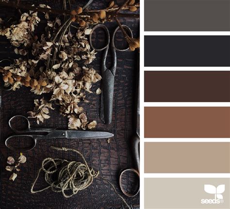 Foraged Tones | Brown color palette, Brown color schemes, Design seeds