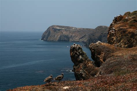 Anacapa Islands, Channel Islands Hiking (13) - Doug's Channel Islands Tours