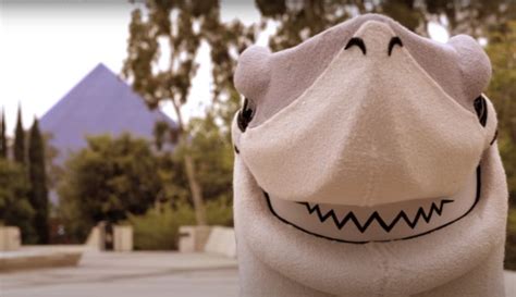 Meet Elbee: Toothy new mascot unveiled at Cal State Long Beach – Press Telegram