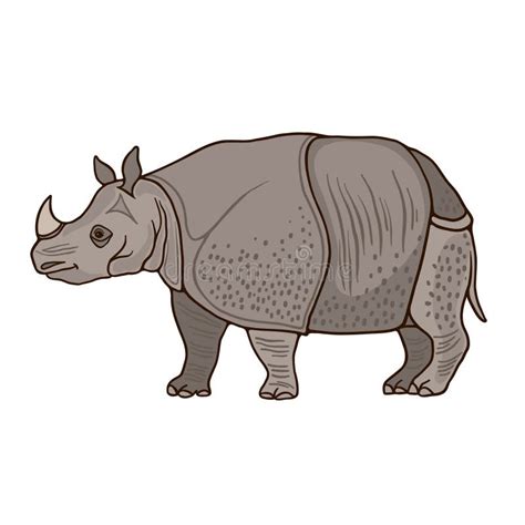 Javan Rhino Stock Illustrations – 88 Javan Rhino Stock Illustrations, Vectors & Clipart - Dreamstime