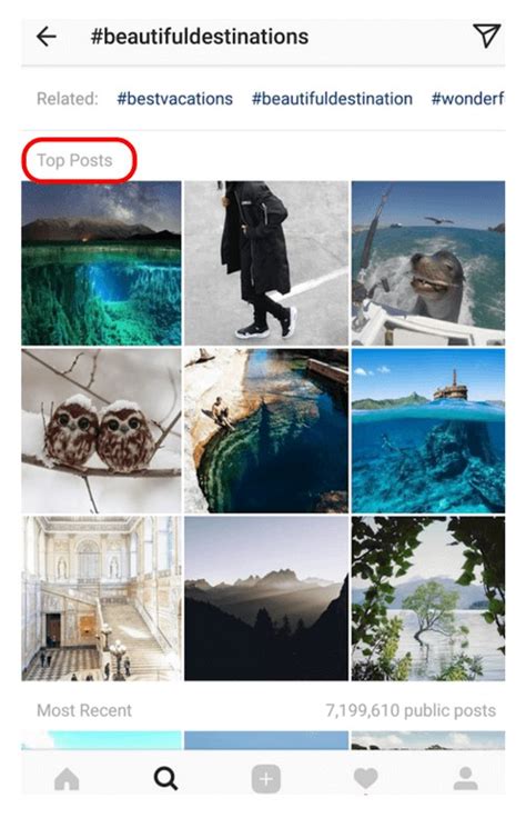What Are Best Travel Hashtags For Instagram
