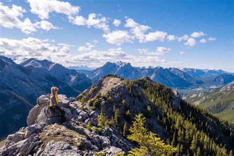 Travel Best Hiking Pants, Grizzly Peak, Bear Spray, Alpine Meadow ...