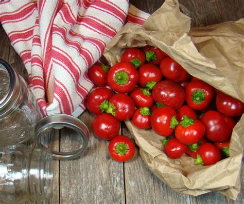 Pickled Cherry Peppers – My favorite pickle! | | Cherry pepper recipes, Pickled cherries ...