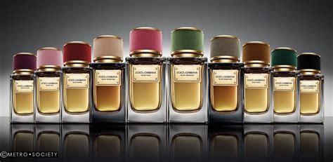 DOLCE GABBANA Velvet Collection